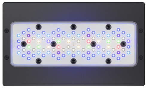 クロシバワン サンゴ用LED Radion G6 XR30 Pro Radion XR30 G6 クロシバワン サンゴ用LED Radion G6 XR30 Pro Radion XR30 G6