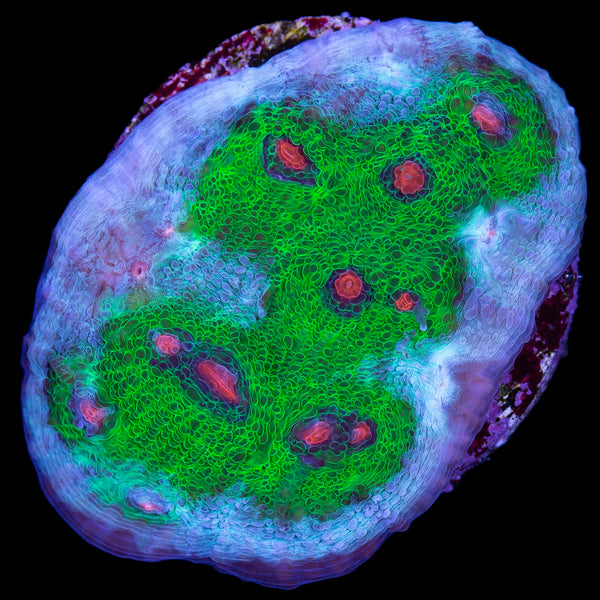 FJ6A9972_93051aff-346c-435e-